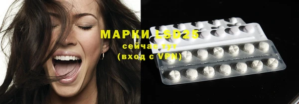 прущий лед Михайлов