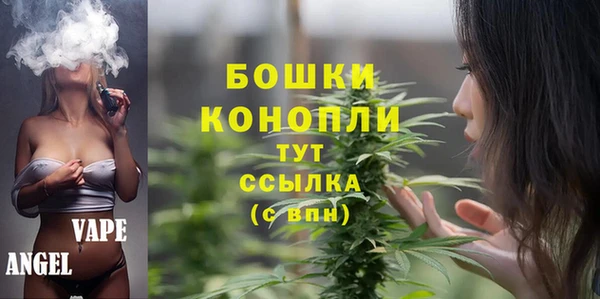 прущий лед Михайлов